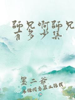 师兄啊师兄总共有多少集