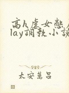 高h虐女憋尿play调教小说