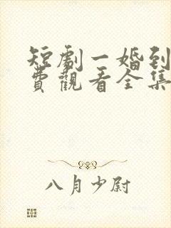 短剧一婚到底免费观看全集高清