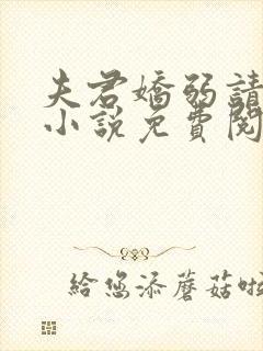 夫君娇弱请小心小说免费阅读全文