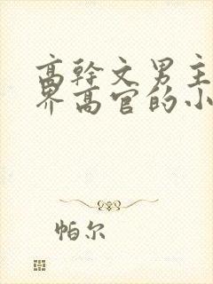 高干文男主是政界高官的小说