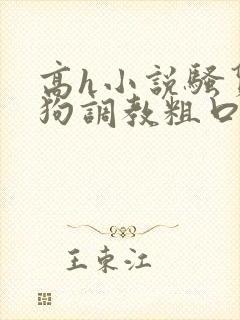 高h小说骚货母狗调教粗口