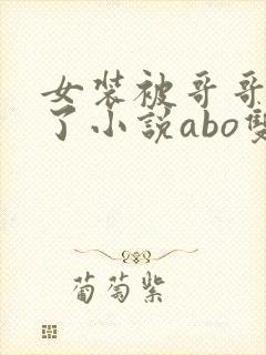 女装被哥哥们操了小说abo双男主