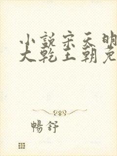 小说宋天明穿越大乾王朝免费阅读