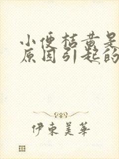 小便桔黄是什么原因引起的