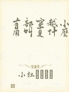 有部穿越小说主角叫夏什么