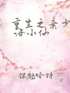 重生之弃少归来 洛小仙