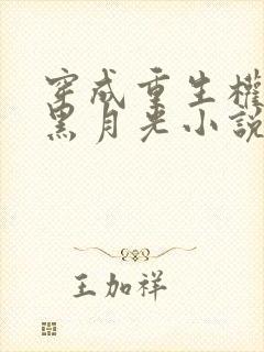 穿成重生权臣的黑月光小说