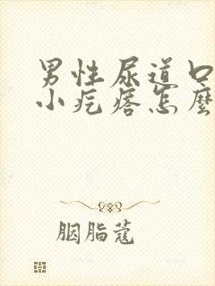 男性尿道口上有小疙瘩怎么回事