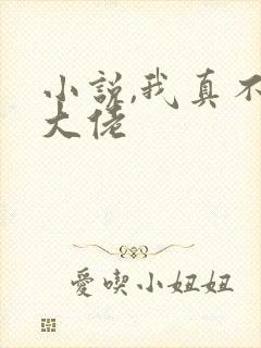 小说,我真不是大佬