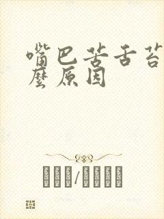 嘴巴苦舌苔黄什么原因