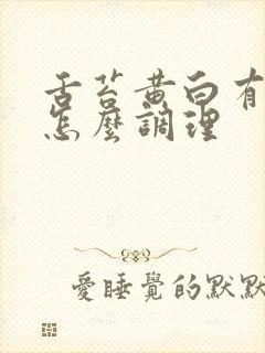 舌苔黄白有齿痕怎么调理