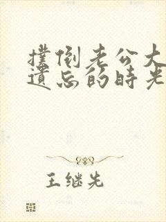 扑倒老公大人在遗忘的时光里重逢