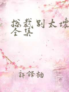 总裁别太坏小说全集