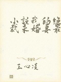 小说我的绝色总裁未婚妻最新章节