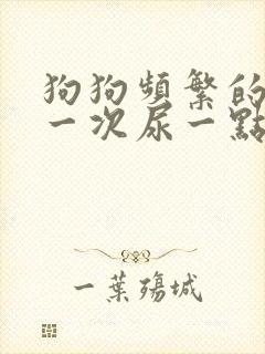 狗狗频繁的尿,一次尿一点,是怎么回事