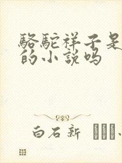 骆驼祥子是老舍的小说吗