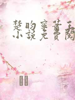 楚昀宁萧王穿越小说免费阅读无弹窗