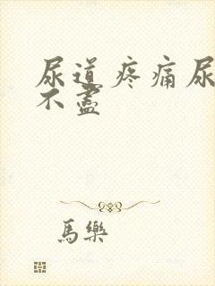 尿道疼痛尿频尿不尽