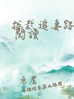 总裁追妻路漫漫 阅读