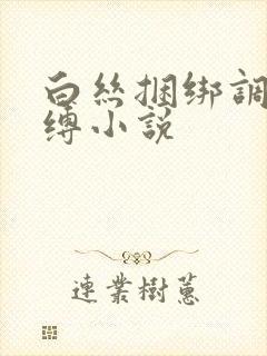 白丝捆绑调教吊缚小说