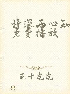 情深两心知全集免费播放