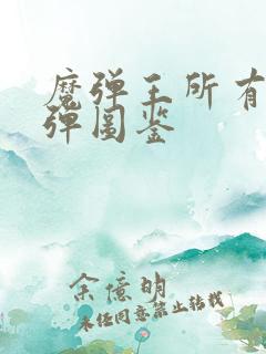 魔弹王所有的魔弹图鉴