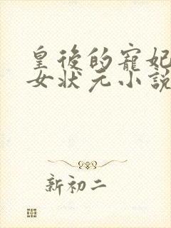 皇后的宠妃gl女状元小说