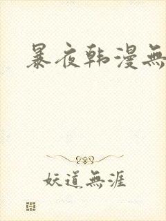 暴夜韩漫无删减