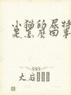 小猫的尿特别黄是怎么回事