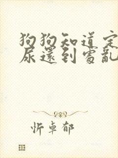 狗狗知道定点拉尿还到处乱拉