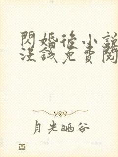 闪婚后小说by没钱免费阅读