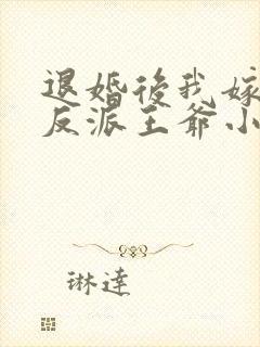 退婚后我嫁给了反派王爷小说