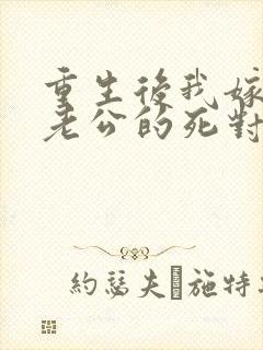 重生后我嫁给了老公的死对头 短剧