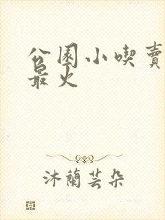 公园小吃卖什么最火