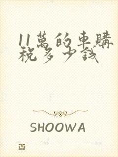 11万的车购置税多少钱