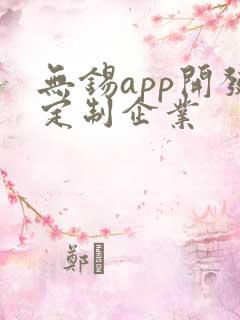 无锡app开发定制企业