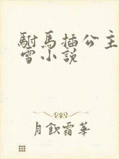 驸马插公主恋战雪小说