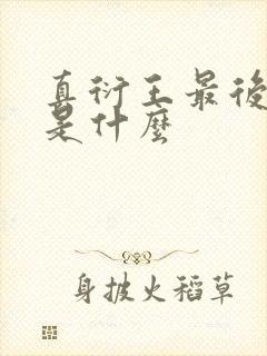 真衍王最后结局是什么