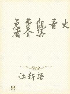 免费观看火影忍者全集