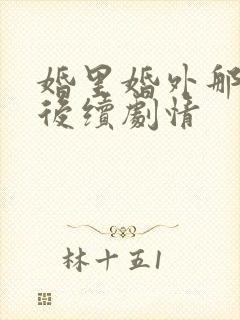 婚里婚外那些事后续剧情