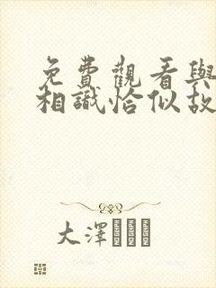 免费观看与君初相识恰似故人归电视剧