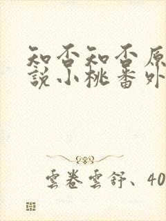 知否知否原著小说小桃番外