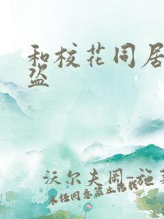 和校花同居的大盗