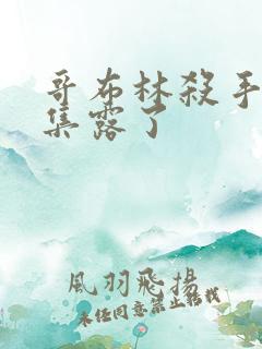 哥布林杀手多少集露了