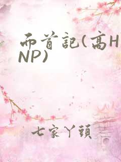 面首记(高H NP)