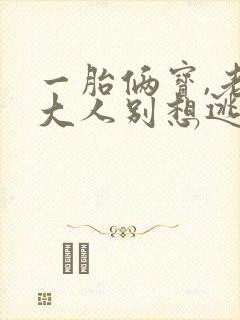 一胎俩宝,老婆大人别想逃 阅读
