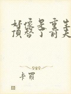 好像是重生后我顶替了前夫白月光