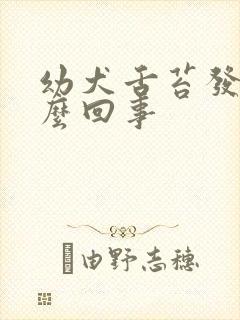 幼犬舌苔发白怎么回事