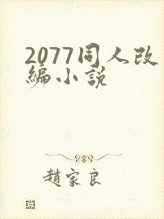 2077同人改编小说